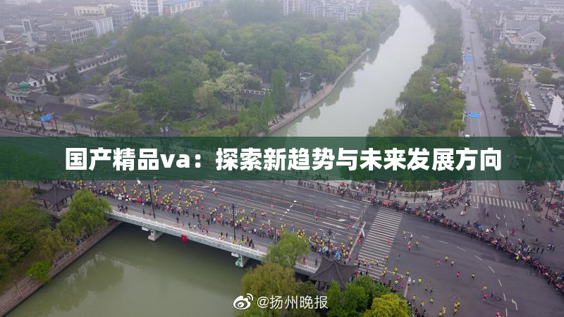 国产精品va：探索新趋势与未来发展方向