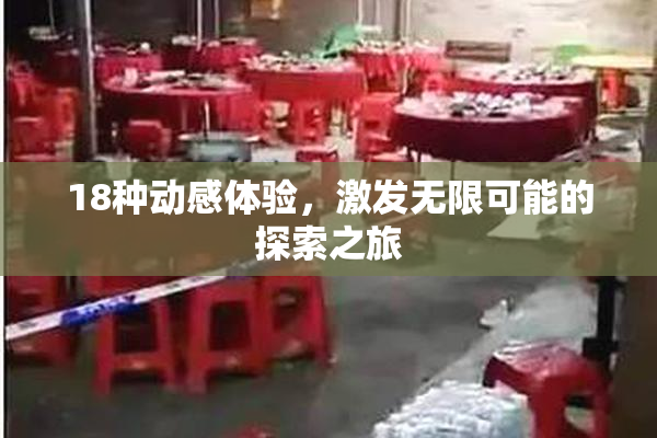 18种动感体验，激发无限可能的探索之旅