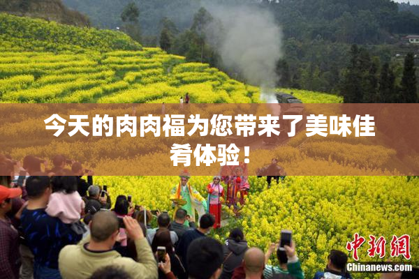 今天的肉肉福为您带来了美味佳肴体验！