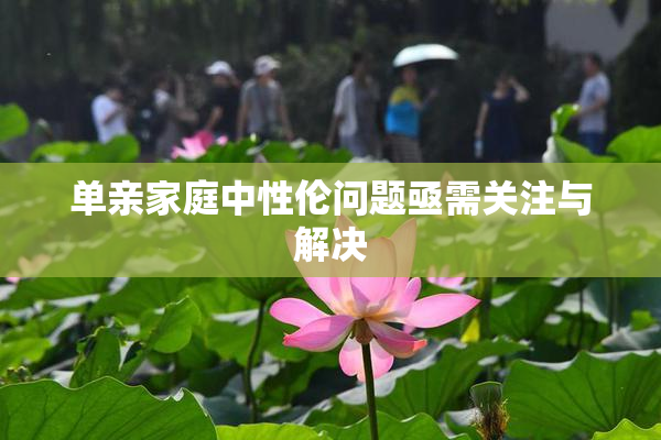 单亲家庭中性伦问题亟需关注与解决