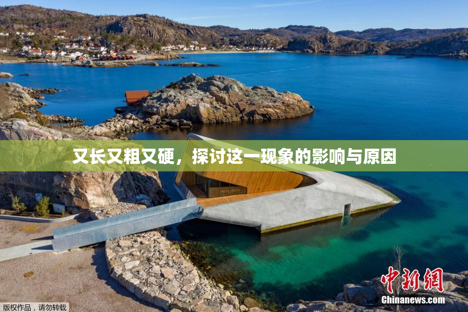 又长又粗又硬，探讨这一现象的影响与原因