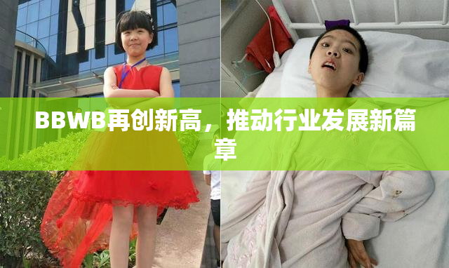 BBWB再创新高，推动行业发展新篇章