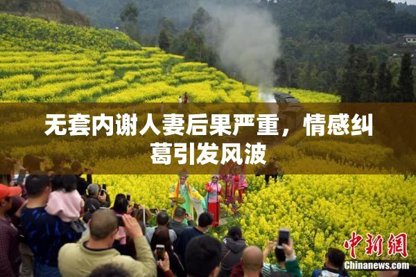 无套内谢人妻后果严重，情感纠葛引发风波