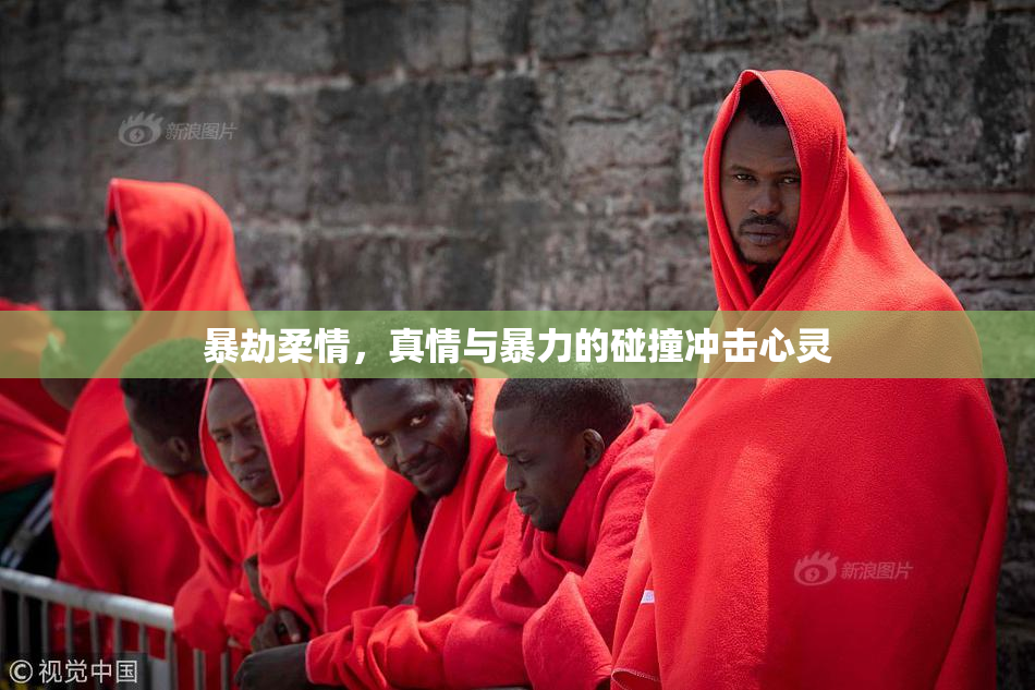 暴劫柔情，真情与暴力的碰撞冲击心灵