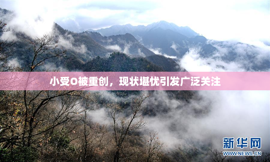 小受O被重创，现状堪忧引发广泛关注