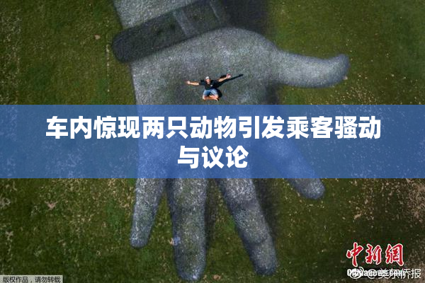 车内惊现两只动物引发乘客骚动与议论