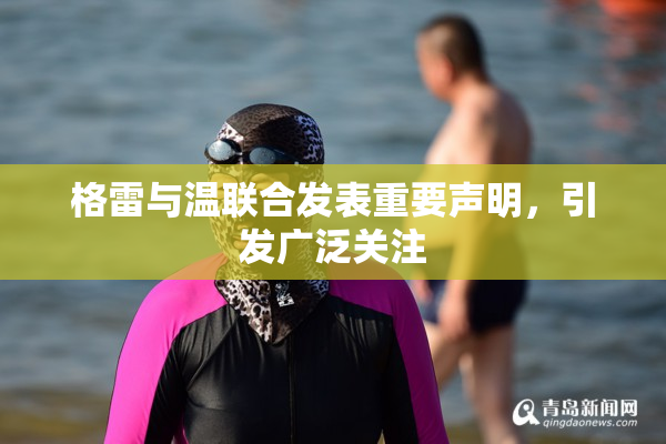 格雷与温联合发表重要声明，引发广泛关注
