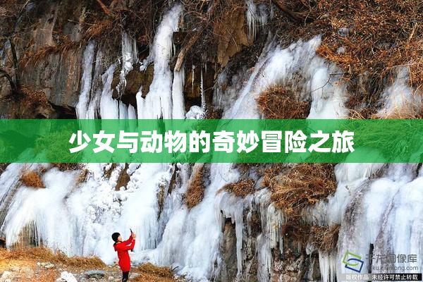 少女与动物的奇妙冒险之旅