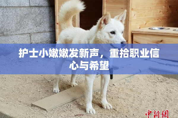 护士小嫩嫩发新声，重拾职业信心与希望
