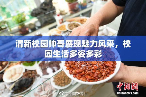 清新校园帅哥展现魅力风采，校园生活多姿多彩