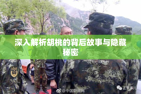 深入解析胡桃的背后故事与隐藏秘密