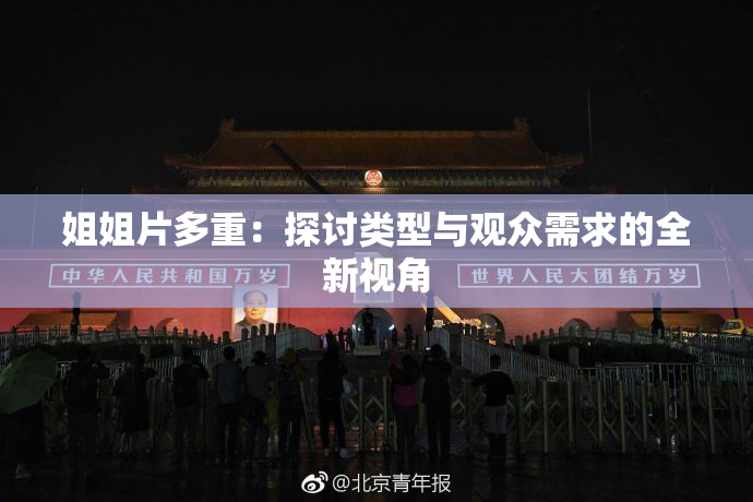 姐姐片多重：探讨类型与观众需求的全新视角