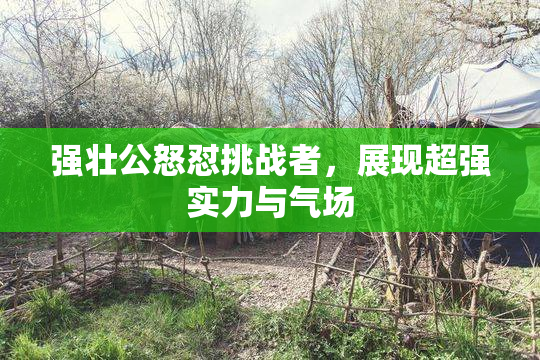 强壮公怒怼挑战者，展现超强实力与气场