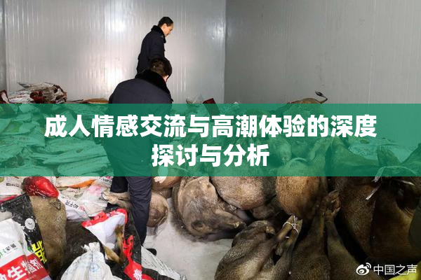 成人情感交流与高潮体验的深度探讨与分析