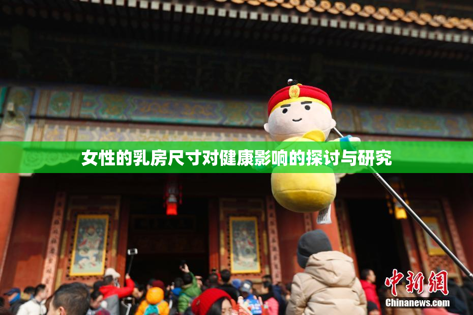 女性的乳房尺寸对健康影响的探讨与研究