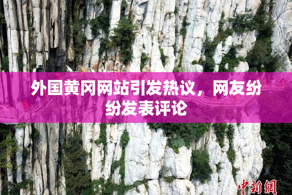 外国黄冈网站引发热议，网友纷纷发表评论