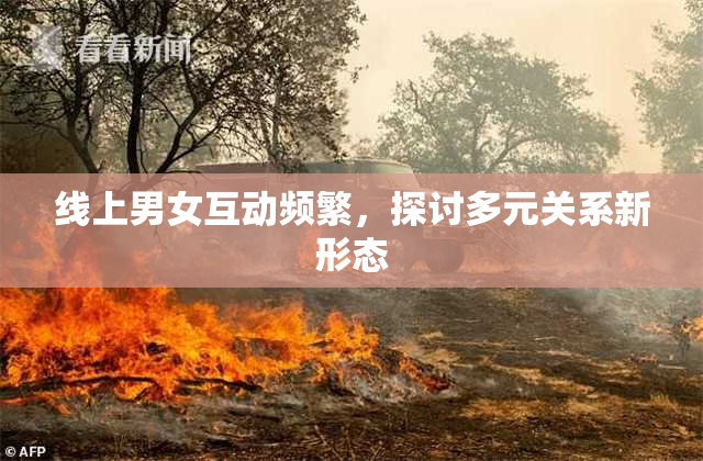 线上男女互动频繁，探讨多元关系新形态
