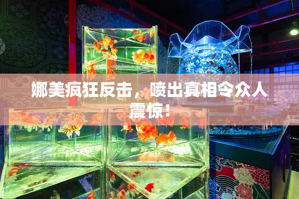 娜美疯狂反击，喷出真相令众人震惊！
