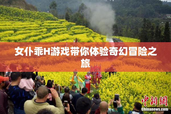 女仆乖H游戏带你体验奇幻冒险之旅