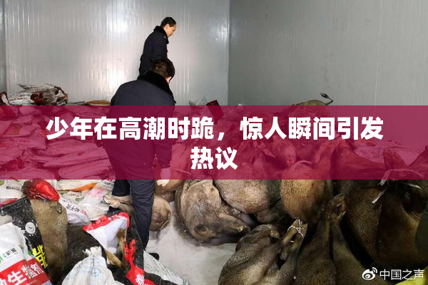 少年在高潮时跪，惊人瞬间引发热议