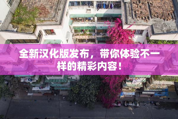 全新汉化版发布，带你体验不一样的精彩内容！