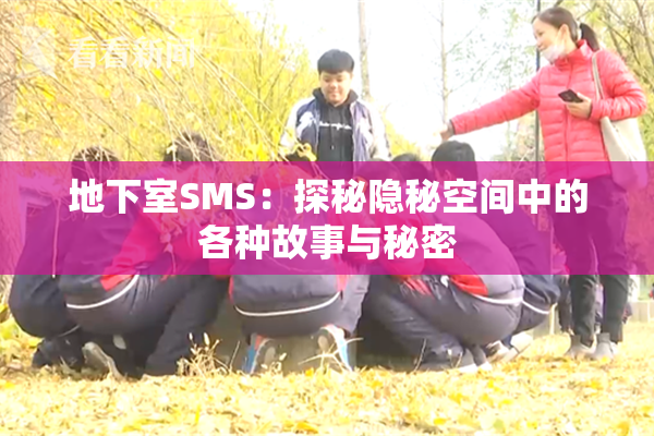 地下室SMS：探秘隐秘空间中的各种故事与秘密