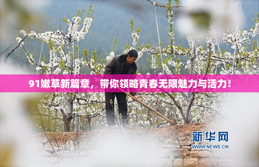 91嫩草新篇章，带你领略青春无限魅力与活力！