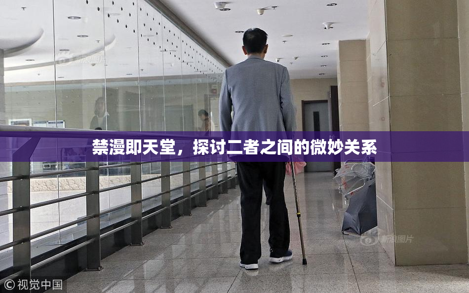 禁漫即天堂，探讨二者之间的微妙关系