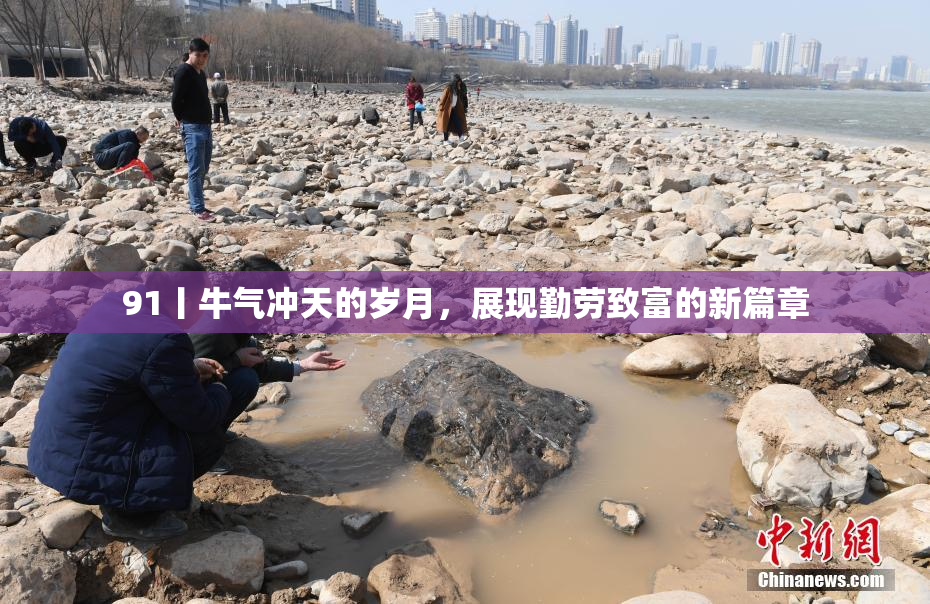 91丨牛气冲天的岁月，展现勤劳致富的新篇章