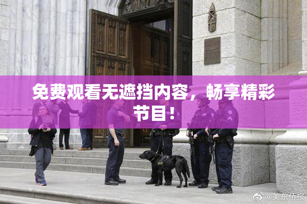 免费观看无遮挡内容，畅享精彩节目！