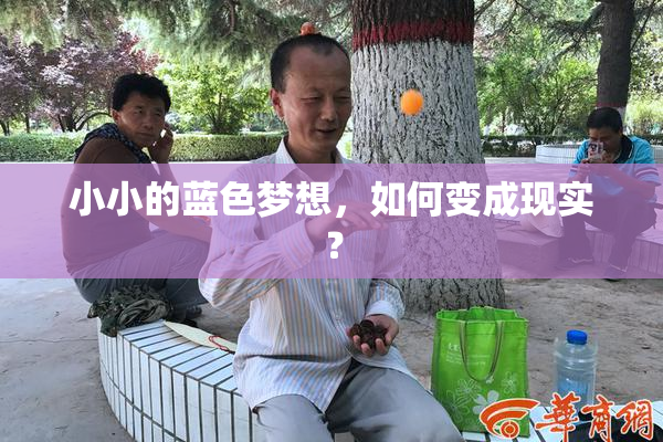 小小的蓝色梦想，如何变成现实？