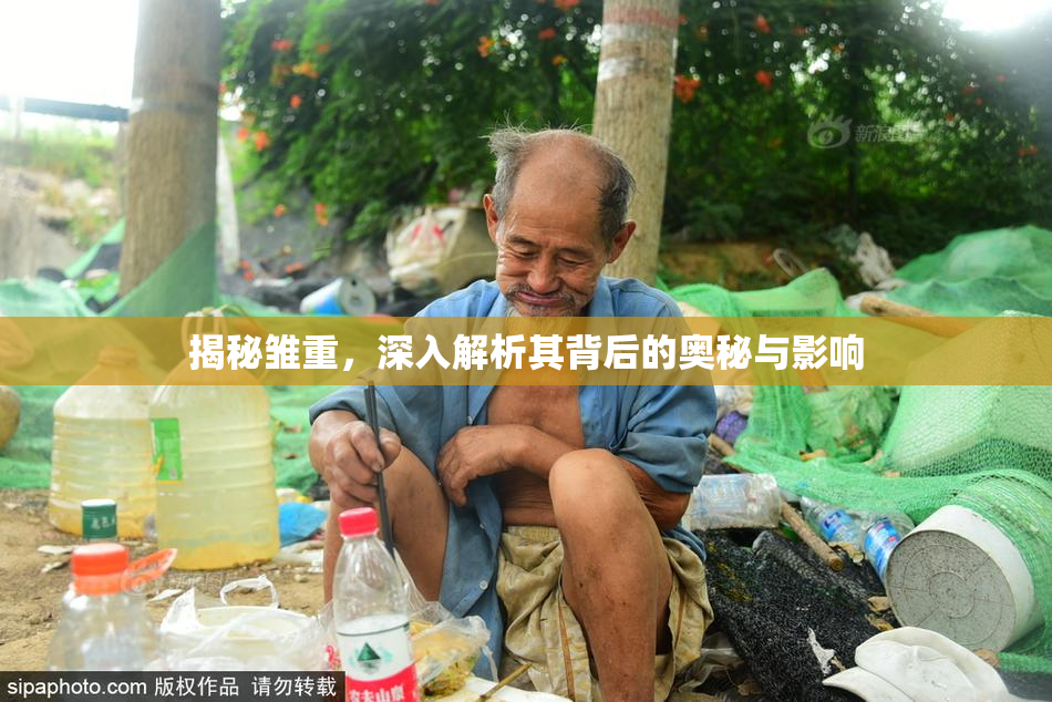 揭秘雏重，深入解析其背后的奥秘与影响