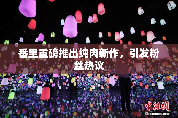 番里重磅推出纯肉新作，引发粉丝热议