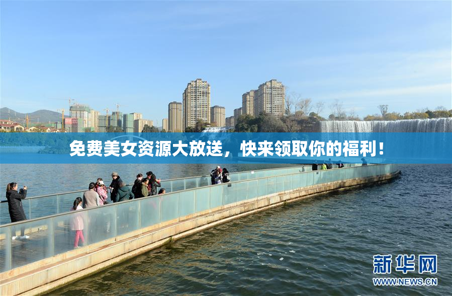 免费美女资源大放送，快来领取你的福利！