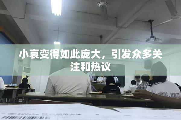 小哀变得如此庞大，引发众多关注和热议