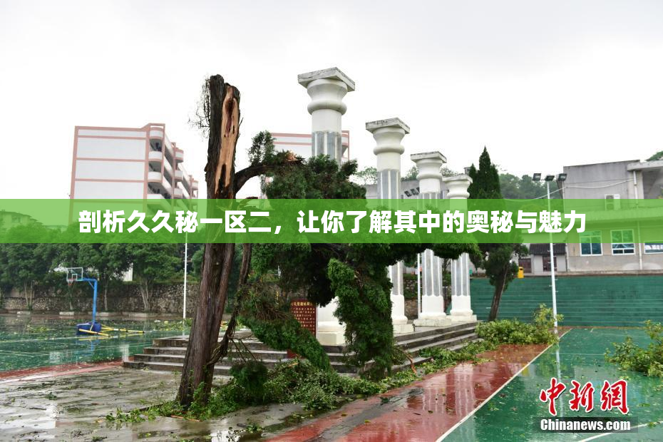 剖析久久秘一区二，让你了解其中的奥秘与魅力