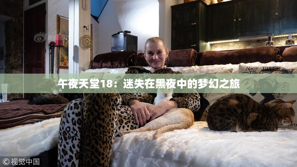 午夜天堂18：迷失在黑夜中的梦幻之旅