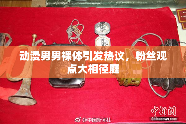 动漫男男裸体引发热议，粉丝观点大相径庭