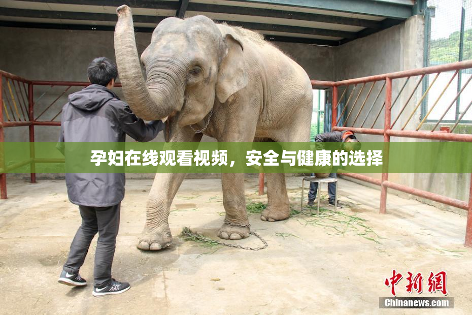 孕妇在线观看视频，安全与健康的选择