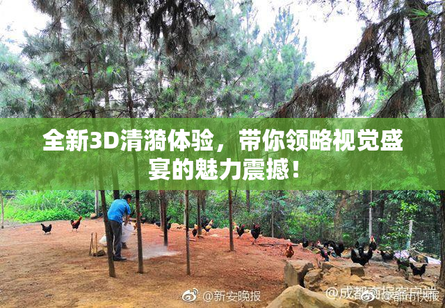 全新3D清漪体验，带你领略视觉盛宴的魅力震撼！