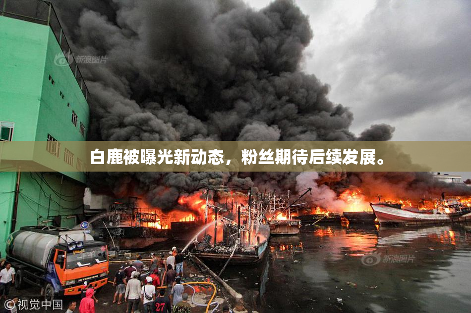 白鹿被曝光新动态，粉丝期待后续发展。