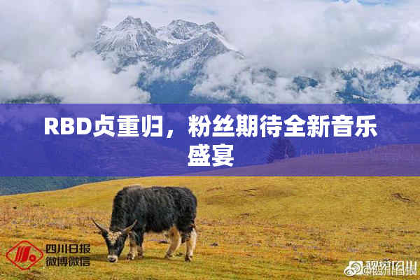 RBD贞重归，粉丝期待全新音乐盛宴