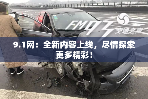 9.1网：全新内容上线，尽情探索更多精彩！