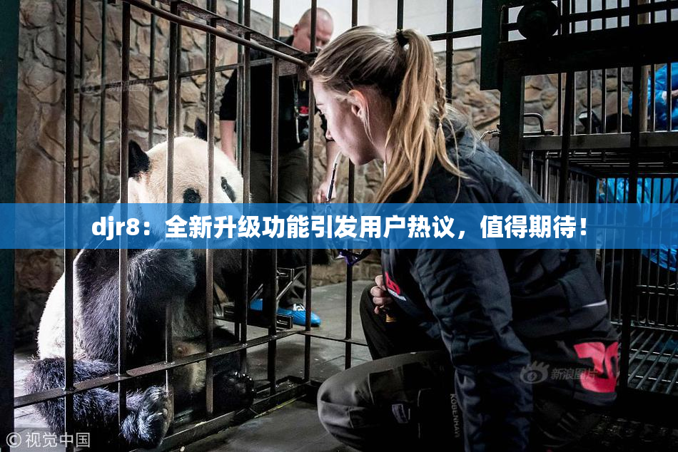 djr8：全新升级功能引发用户热议，值得期待！