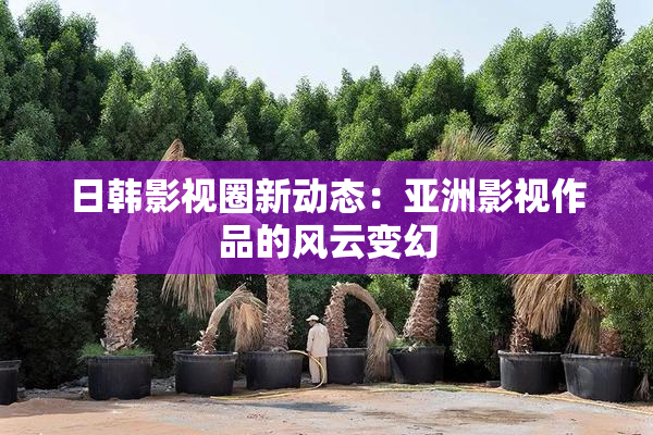 日韩影视圈新动态：亚洲影视作品的风云变幻