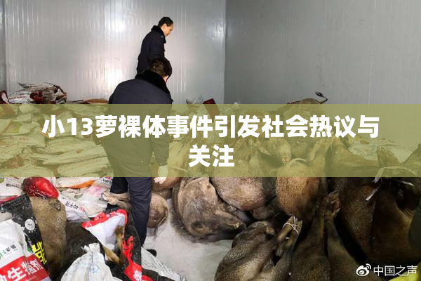 小13萝裸体事件引发社会热议与关注