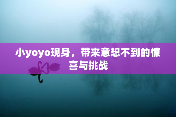 小yoyo现身，带来意想不到的惊喜与挑战