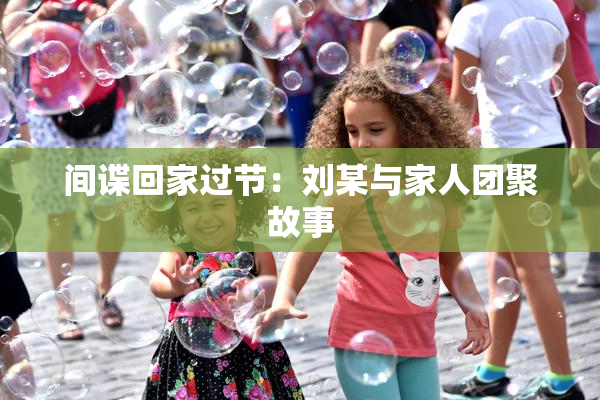 间谍回家过节：刘某与家人团聚故事