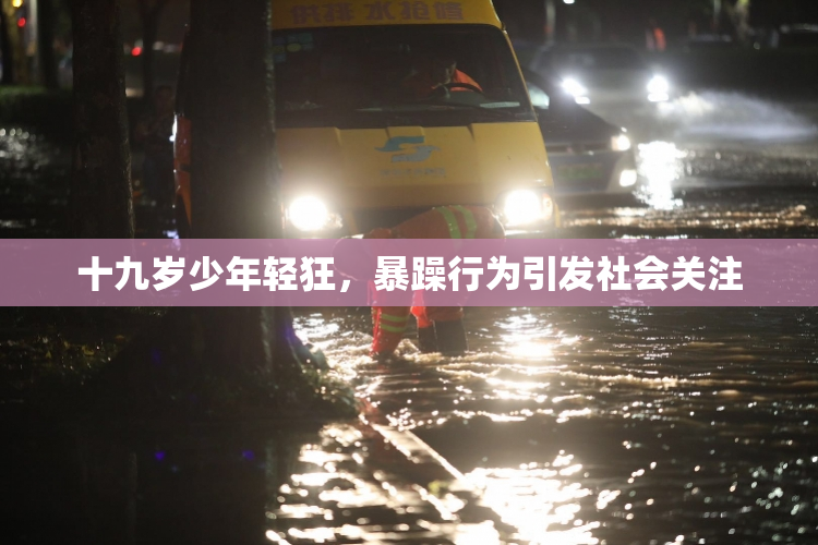 十九岁少年轻狂，暴躁行为引发社会关注