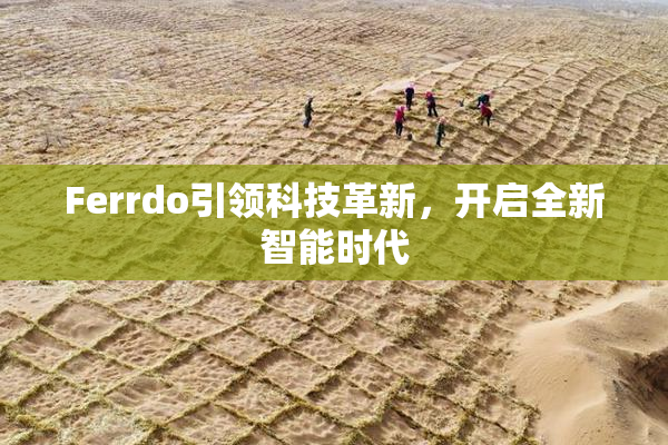 Ferrdo引领科技革新，开启全新智能时代